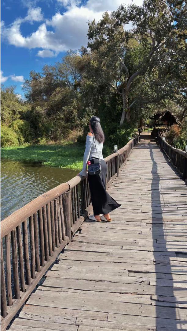 Safari Moments